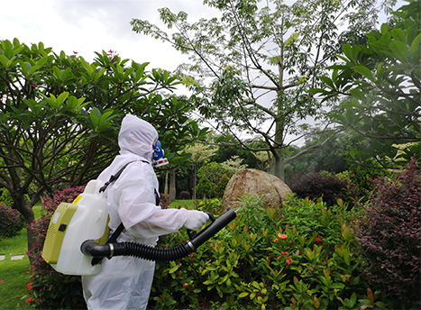 battery powered ulv cold fogger 606 model(1).jpg