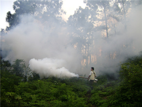 fogging-machine-application-49.jpg