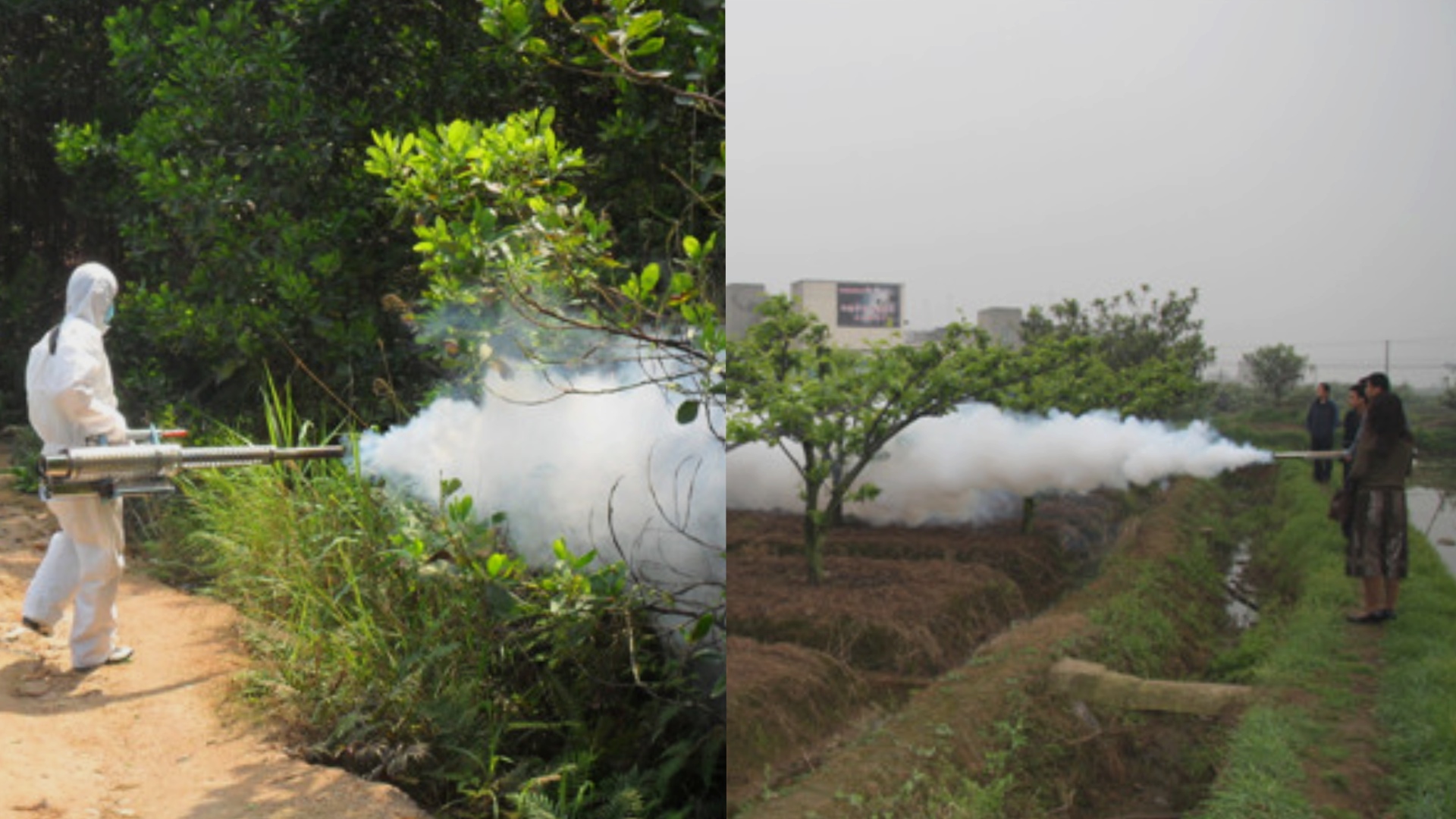How to Select the Perfect Fogging Machines For Mosquito Control in Agriculture.jpg