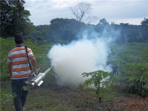 FUMIGACION-PAPAYA-3.jpg