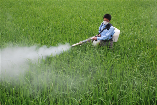 fogging-machine-application-19.jpg
