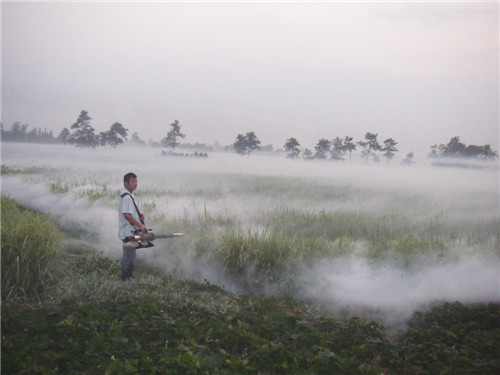 fogging-machine-application-46.jpg
